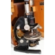 Microscope double Carl ZEISS