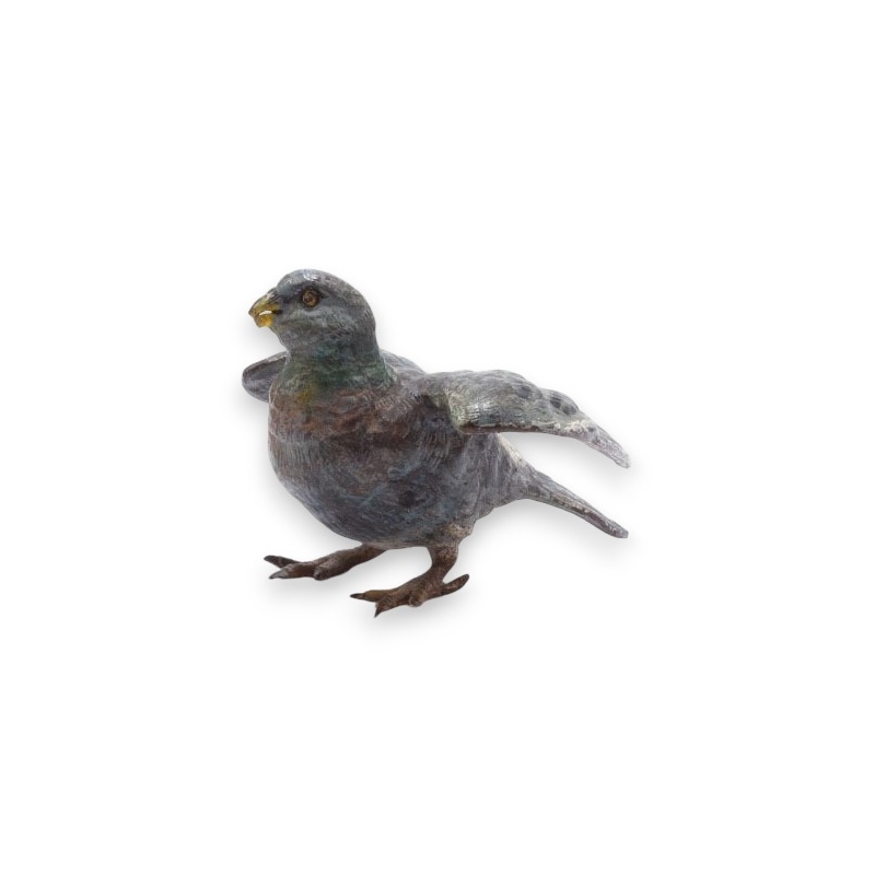 Pigeon en bronze de Vienne