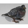 Pigeon en bronze de Vienne