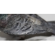 Pigeon en bronze de Vienne