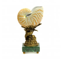 Coquillage en porcelaine sur un dauphin en bronze