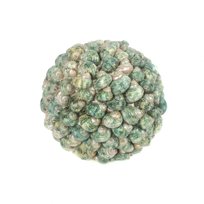 Boule de coquillages verts, petite