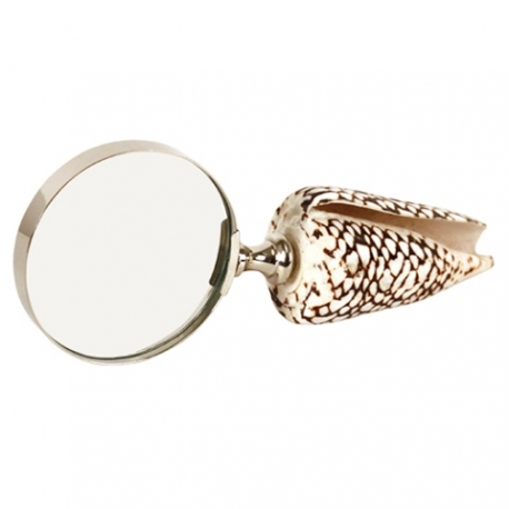 Magnifying glass with a shell handle