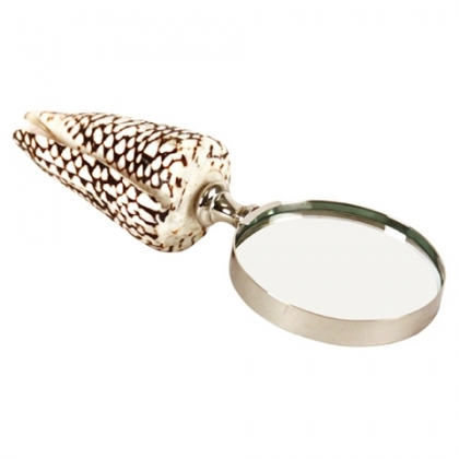 Magnifying glass with a shell handle