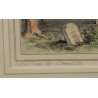 Engraving of ‘Saint Cuthber’s Wells’ by C. WICKES