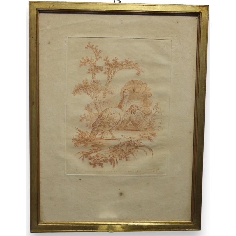Gravure sanguine "Dindons"