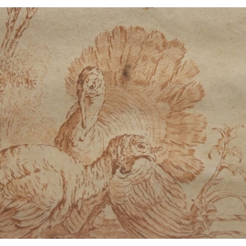 Gravure sanguine "Dindons"