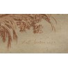 Gravure sanguine "Dindons"