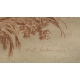 Gravure sanguine "Dindons"