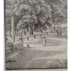 Gravure "Rolle"