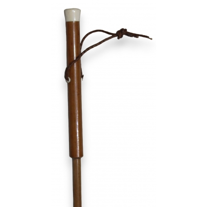 Parasol handle with an ivory knob