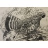 Gravure "Gelinotte" signée Robert HAINARD