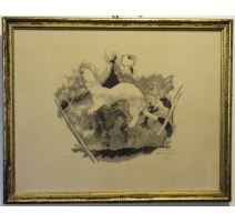 Gravure "Hermine" signée Robert HAINARD