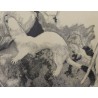 Gravure "Hermine" signée Robert HAINARD