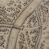 Engraving depicting the Keyser Schantz