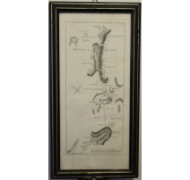 Gravure Bailliage de Bouchsee