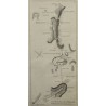 Gravure Bailliage de Bouchsee