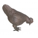 Bronze Poule