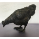 Bronze Poule