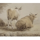 Encre de chine "Vaches" signé A CALAME 1833