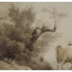 Encre de chine "Vaches" signé A CALAME 1833