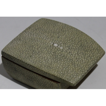 Green stingray leather box