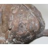 Bronze \"St-George terrassant le dragon\"