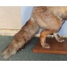 Stuffed fox