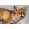 Stuffed fox