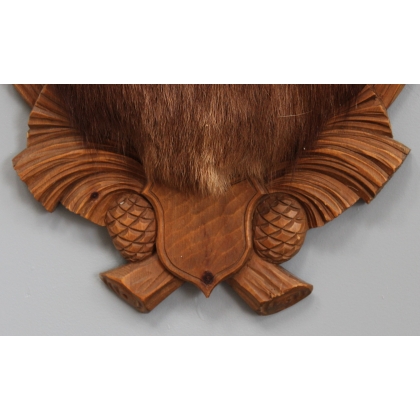 Chamois Head Hunting Trophy