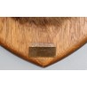Chamois Head Hunting Trophy