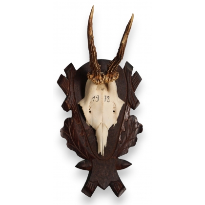 Trophée de chasse Massacre de chevreuil