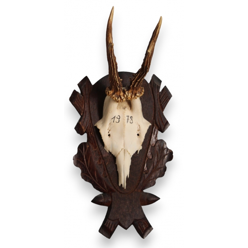 Hunting Trophy: Deer Slaughter