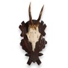 Hunting Trophy: Deer Slaughter