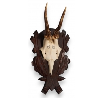 Trophée de chasse Massacre de chevreuil