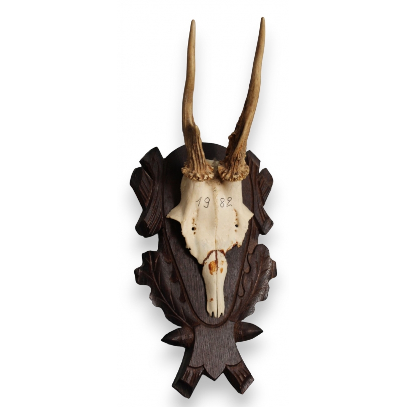 Hunting Trophy: Deer Slaughter