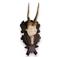 Trophée de chasse Massacre de chevreuil