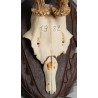 Hunting Trophy: Deer Slaughter