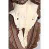 Hunting Trophy: Deer Slaughter