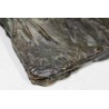 Grenouille en bronze