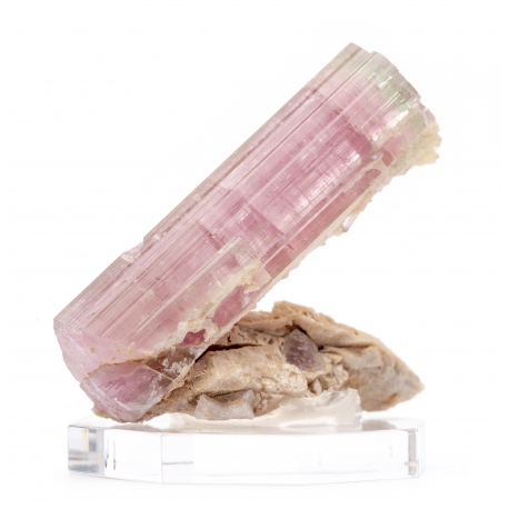 Tourmaline rose \"Famous Bubble-gum color\"