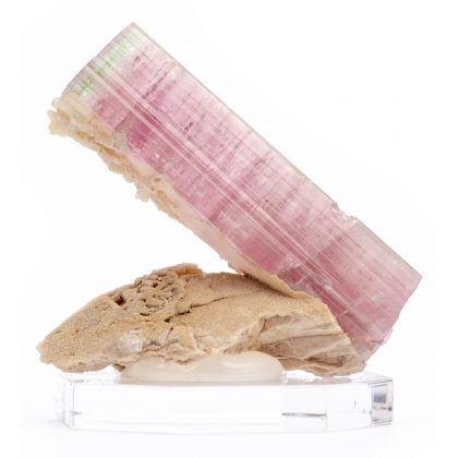 Tourmaline rose \"Famous Bubble-gum color\"