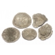 Lot de cinq pyrites Dollar