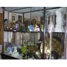 Large French Louis XVI-style brass display cabinet by  Moinat SA  - Antiques and home décor