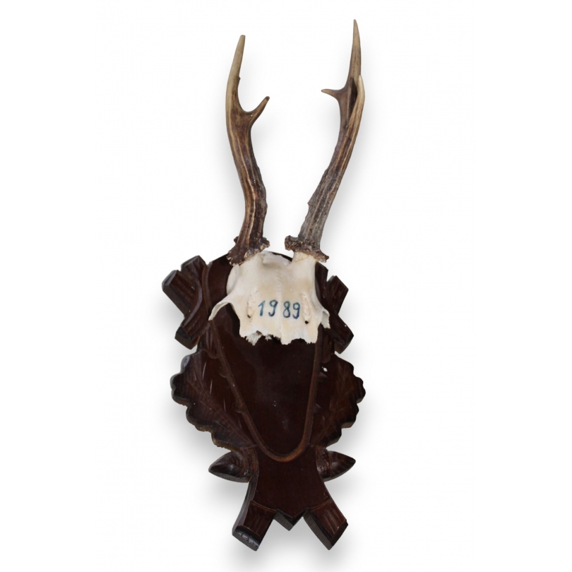 Hunting Trophy: Deer Slaughter