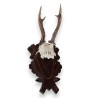 Hunting Trophy: Deer Slaughter