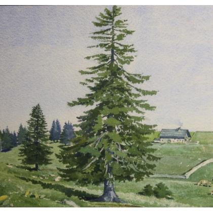 Aquarelle \"Vue du Jura\" signée A. FIEDLER