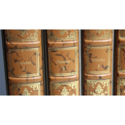 A collection of illustrated plates on the sciences, 18 volumes