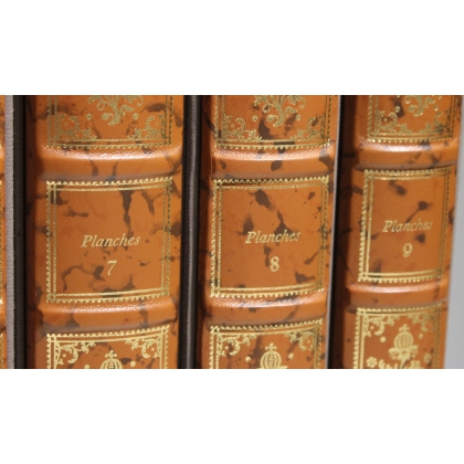 A collection of illustrated plates on the sciences, 18 volumes