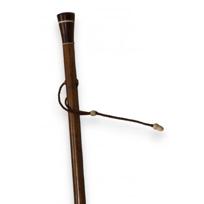 Walking stick with a conical wooden and ivory knob